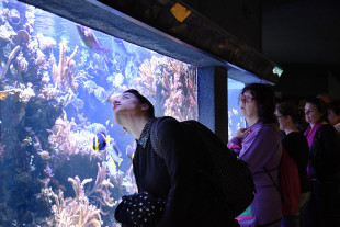 visite_aquarium
