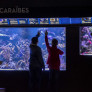 Visite scolaire à l'Aquarium