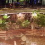 Les coulisses de l'Aquarium