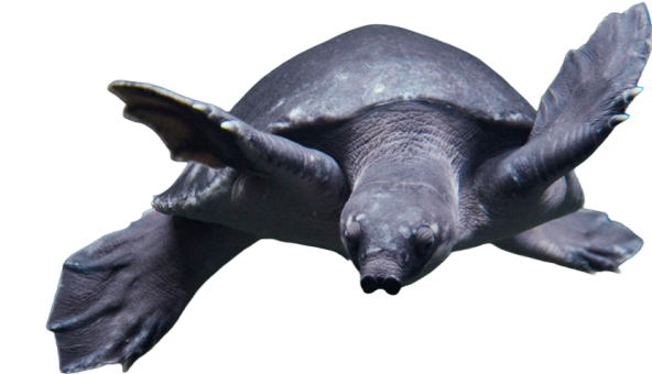 Respiration_Aquarium_fleuves-rivieres