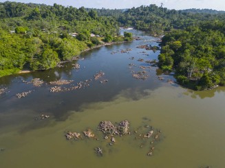 Photo d'une rivière en Guyane