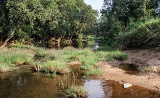 Rivière des Ghâts occidentaux d'Inde 