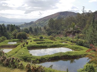 Rivière Amboaboa à Madagascar