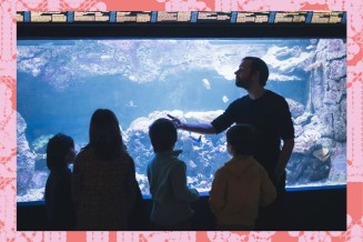 Aquarium Atelier enfant