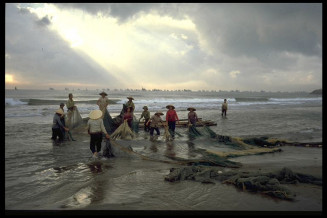 Pêche à la senne de plage