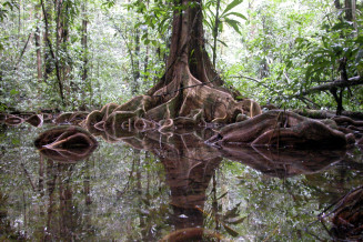 Rivière Moutouchi