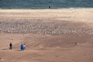 Plage du cap Blanc
