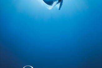 affiche_film_oceans