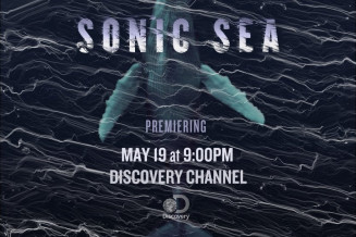 sonic sea