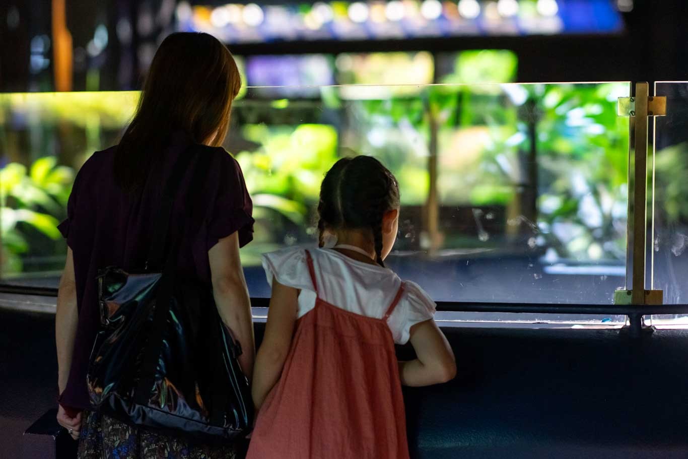 Visiteurs dans l'Aquarium