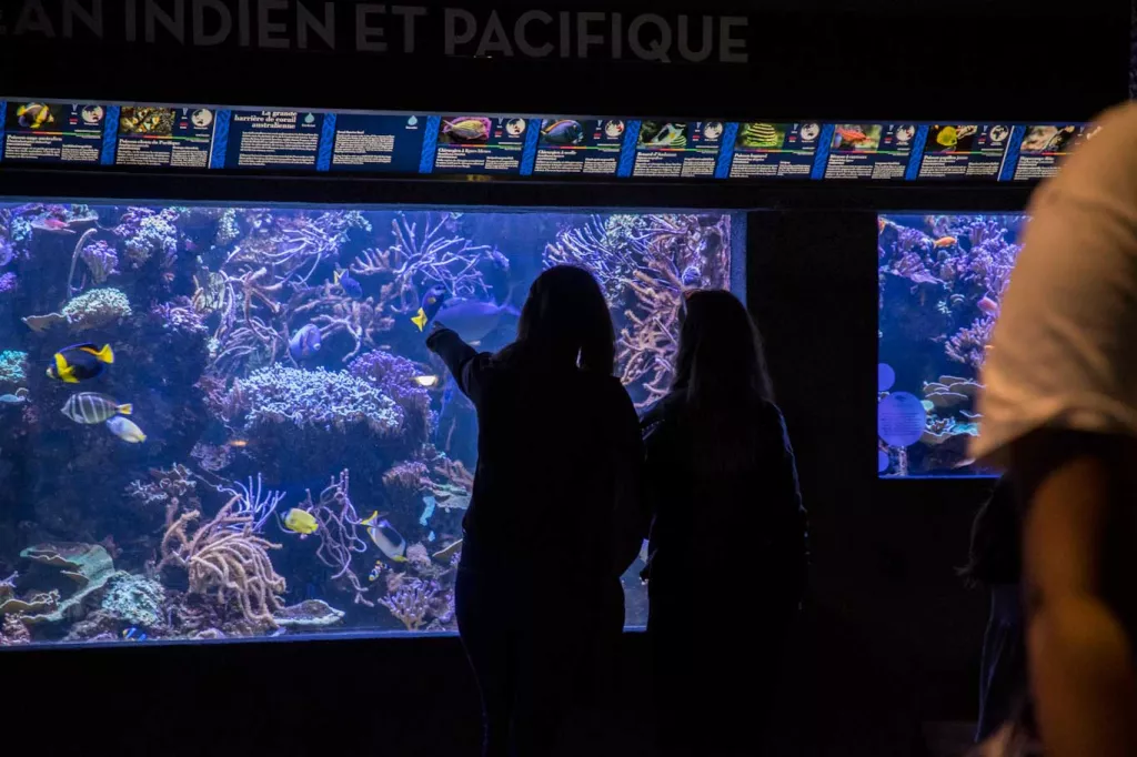Personnes devant un aquarium