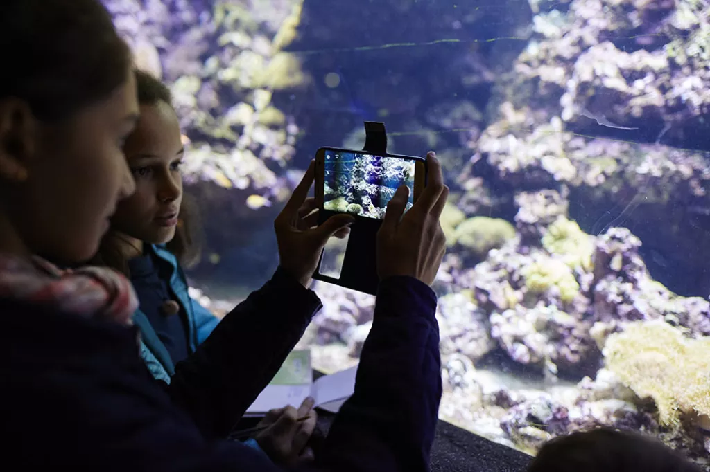 aquarium_loupe