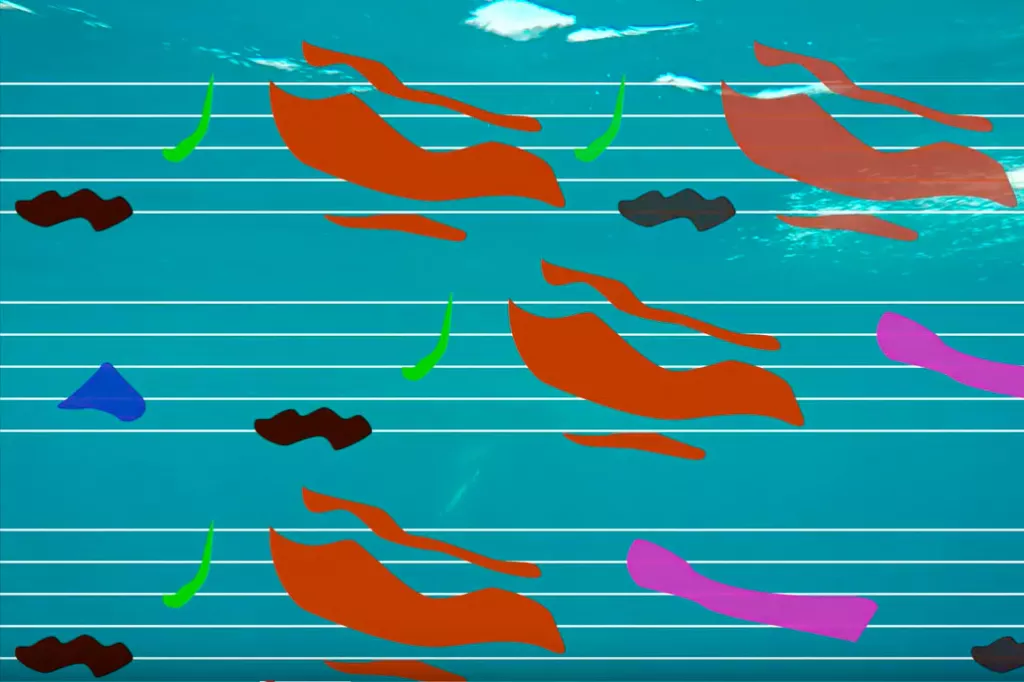 les chants des baleines