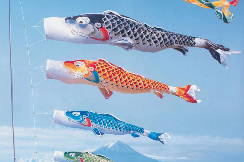 koinobori fuji