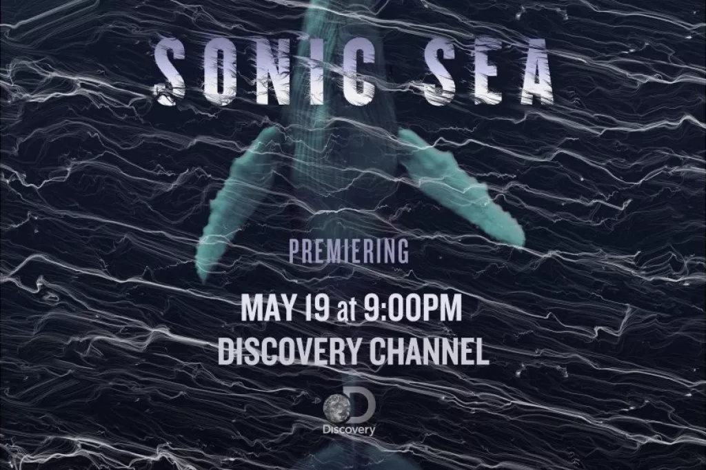 sonic sea