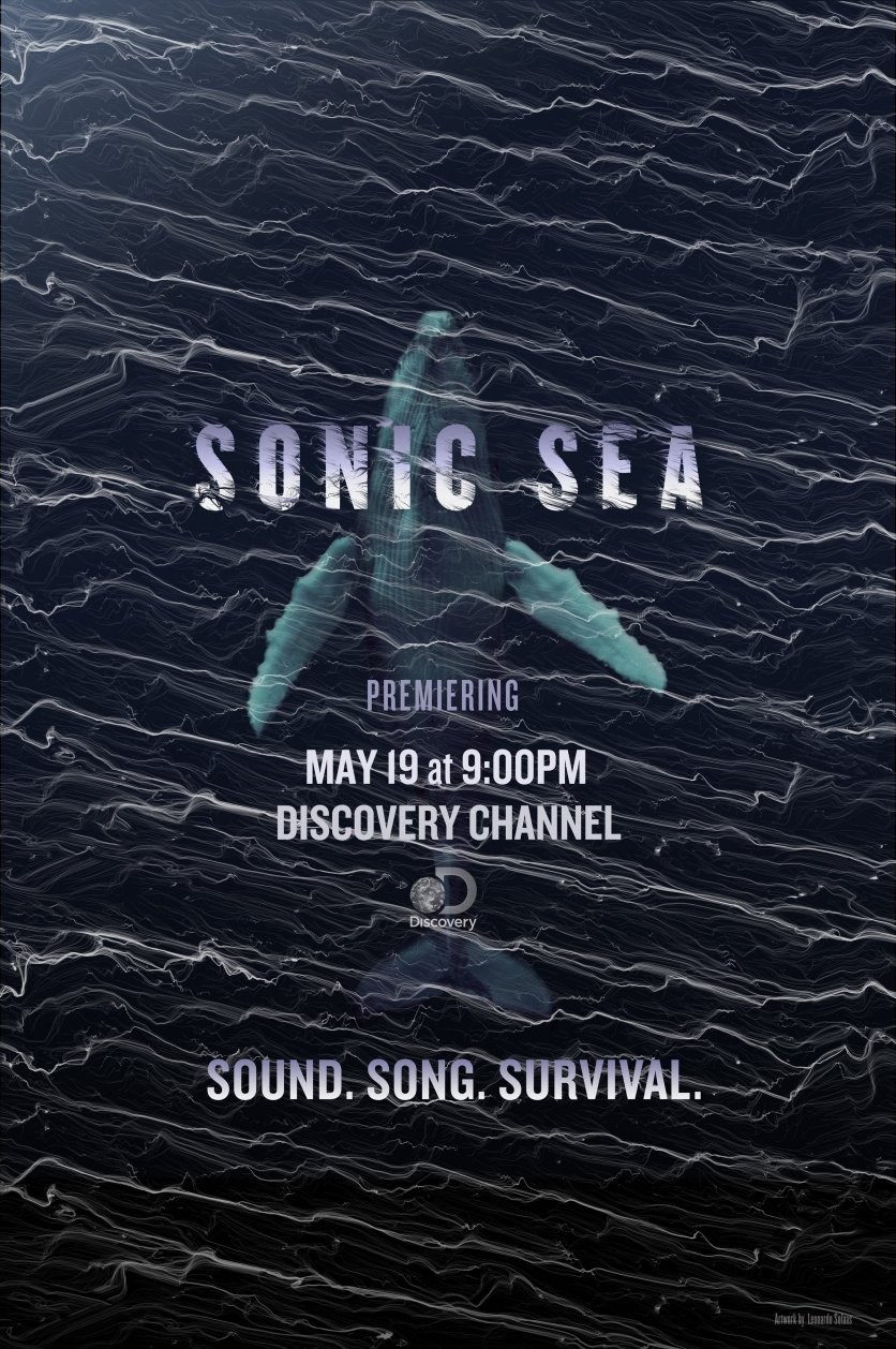 sonic sea