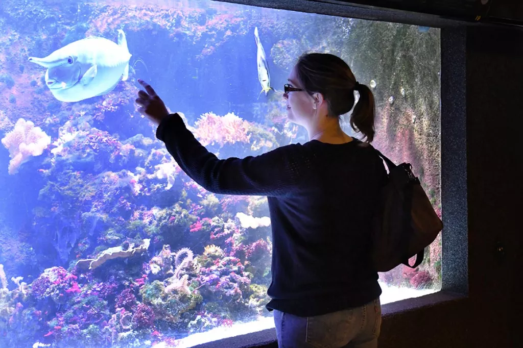 visite_aquarium_licorne