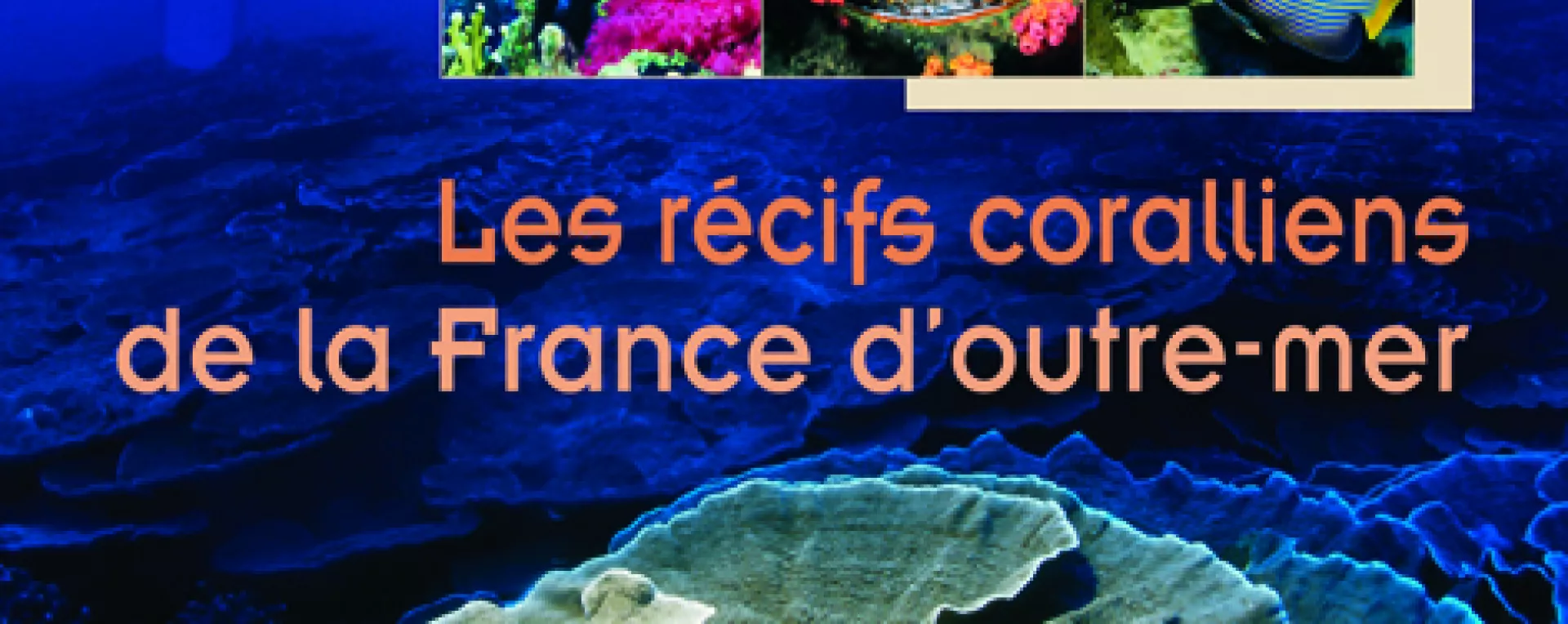 Affiche de l'exposition "les récifs coralliens de la France d'outre-mer"