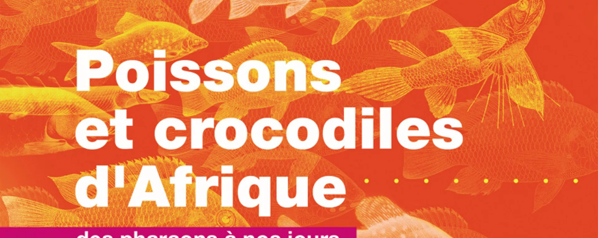 affiche_poissons_crocodiles.jpg