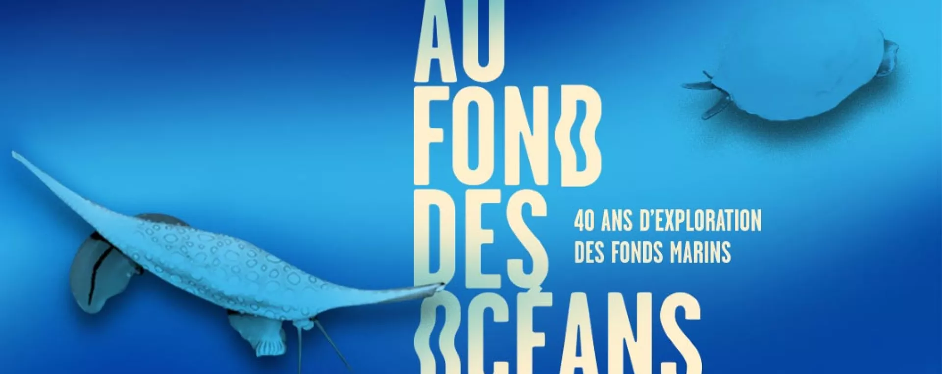 Au fond des oceans