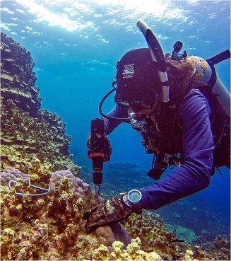 Prélèvement d'une carotte de corail 