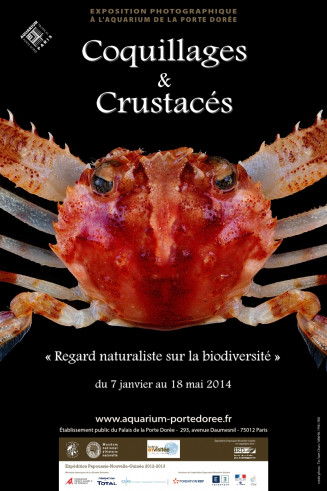 affiche-coquillagescrustaces.jpg