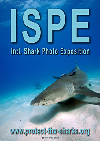 affiche_ispe.jpg