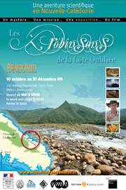 Affiche exposition Robinsons de la côte oubliée