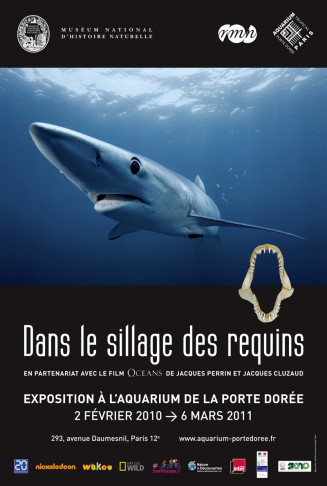 affiche_sillage_requins.jpg