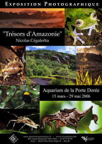 Affiche de l'exposition Trésors d'Amazonie