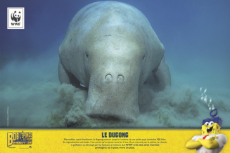 exemple_panneau_bob.png