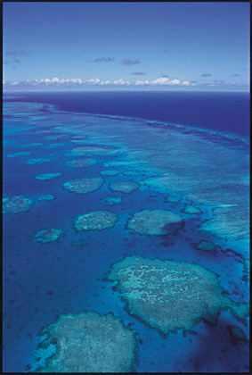 Le grand récif de Mayotte