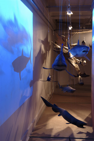 sillage_requins-3.jpg