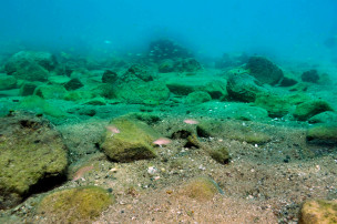 The shallow waters of Lake Tanganyika