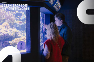 Aquarium Tropical