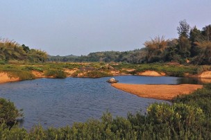 Rivière des Ghâts occidentaux d'Inde