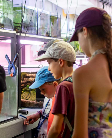 Visiteurs dans les coulisses de l'Aquarium