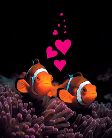 La St Valentin à l'Aquarium
