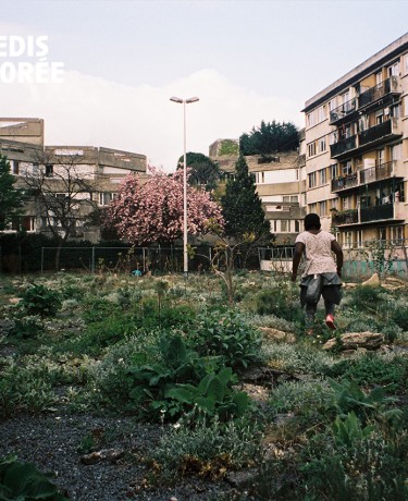 mercredi_nature-banlieues