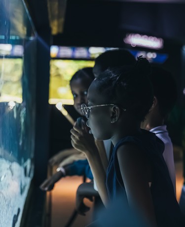 Enfants devant un bac de l'Aquarium
