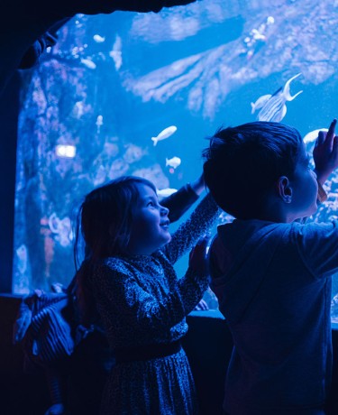 Enfants dans l'Aquarium