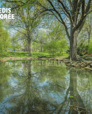 photographie d'un lac