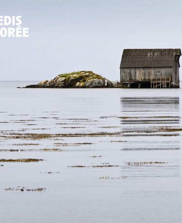 Montée du niveau de la mer