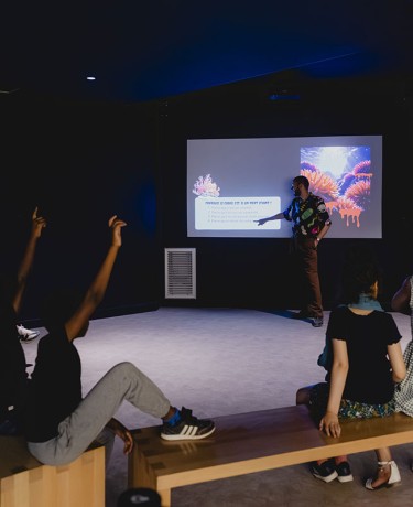 Quiz à l'Aquarium