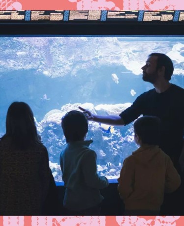 Aquarium Atelier enfant