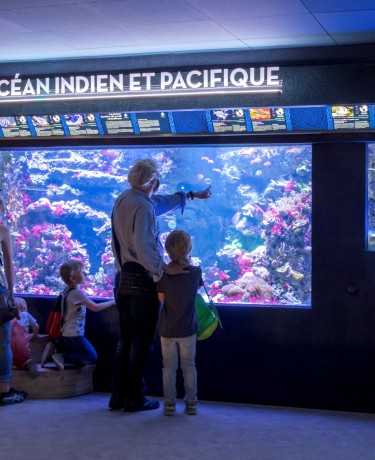 Aquarium tropical