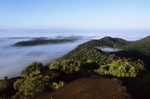 tresors_damazonie_n_cegalerba_02_copie.jpg