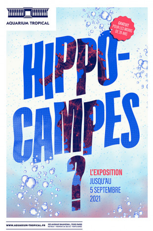 affiche_expo_hippocampes_2021