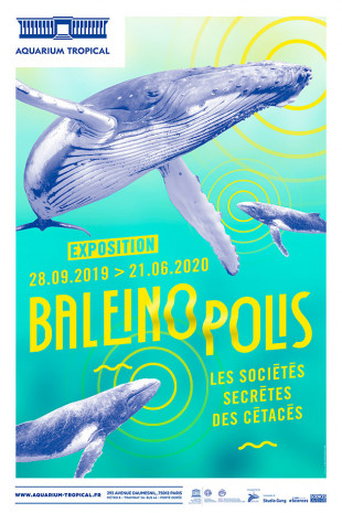 affiche exposition Baleinopolis