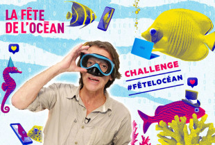 challenge_fetelocean_2020